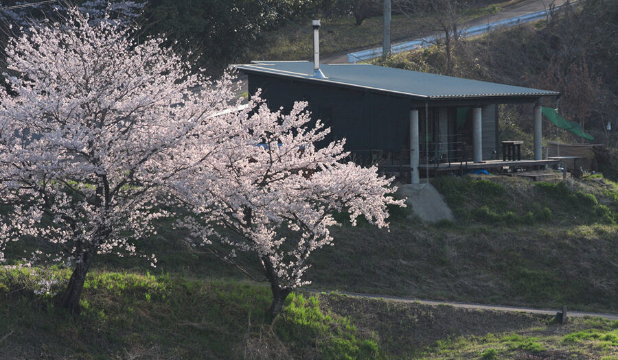 main_01 休暇小屋 春